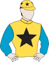 神奇百万赛日之华人兵团