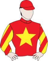 神奇百万赛日之华人兵团