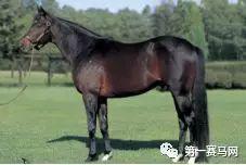 大震撼（Deep Impact）