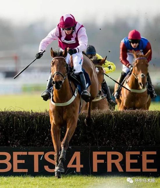 英国绍斯韦尔赛马会