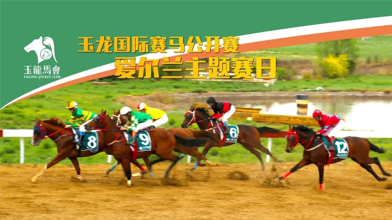 本周六新浪马术直播「玉龙国际赛马公开赛2018」爱尔兰比赛日