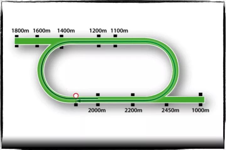 沙田马场跑道设置