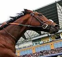 英 国——范高尔（Frankel）