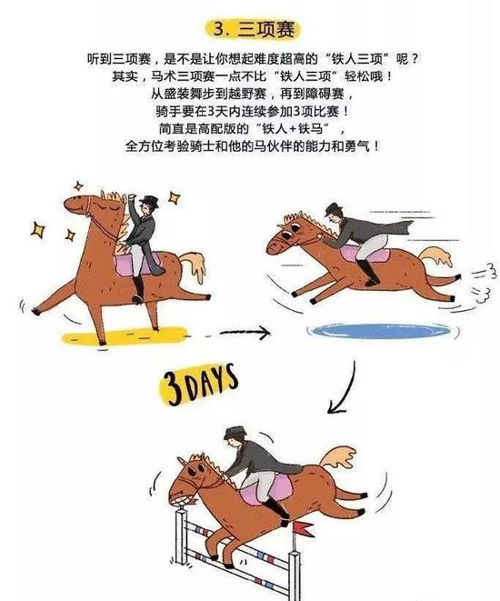 马术三项赛