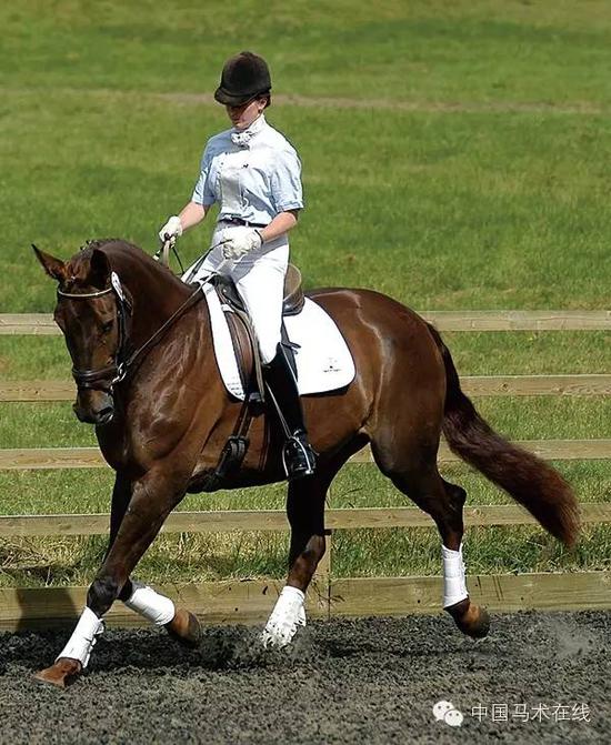 如何正确使用马刺