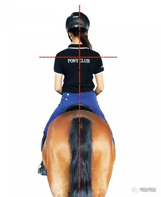 初学骑马，先要会坐