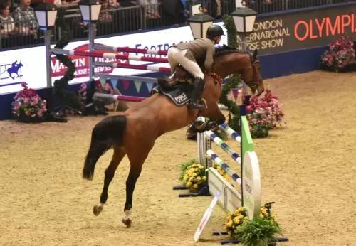 芬兰赫尔辛基举行的国际马术赛