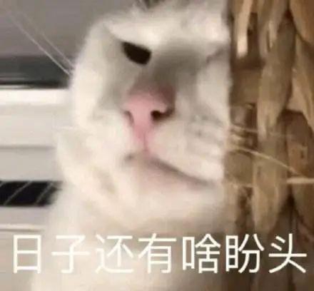 湖人后卫官宣退赛,JR这次真要来湖人了