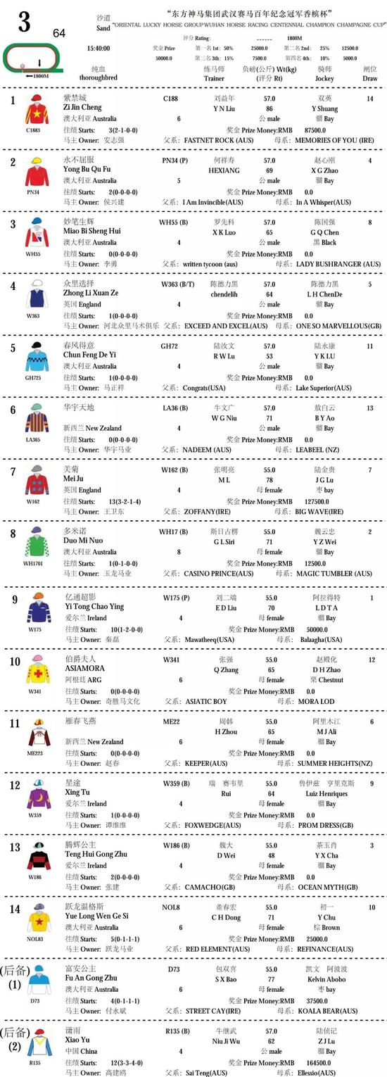 玉龙马业赛驹“多米诺”2019武汉国际赛马节180