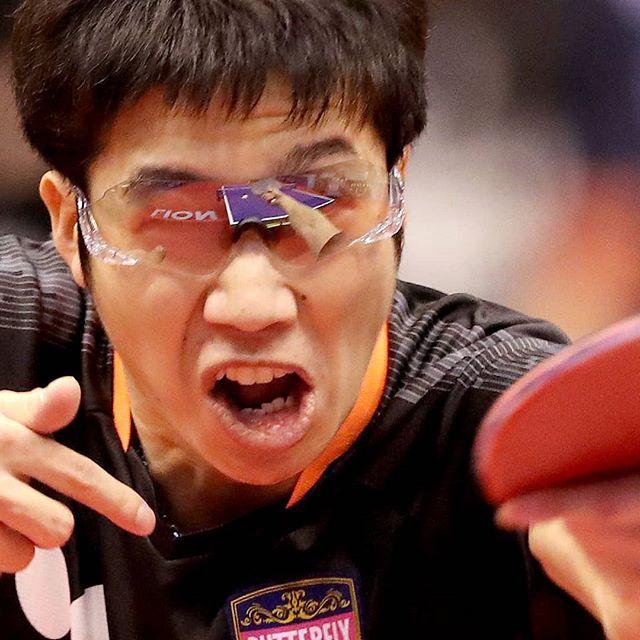 乒乓球队正在为东京奥运会的单打报名展开激烈的争夺,目前张本智和
