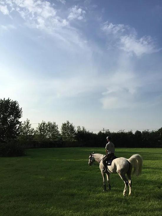 毛立新：我有一辈子的时间与马在一起