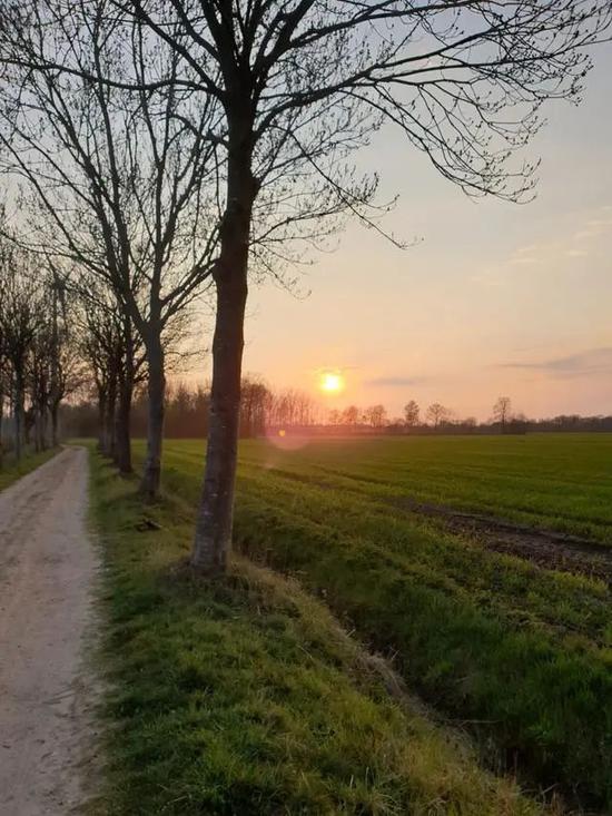 朱婷前队友“椰丝”暂别排坛 曾与天津女排传绯