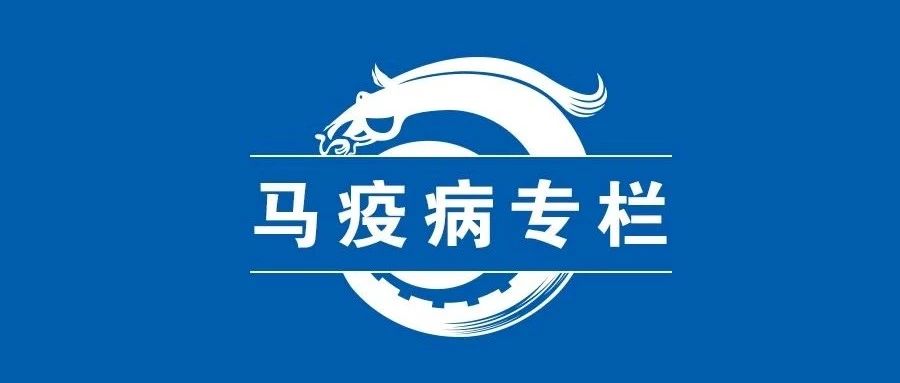 意大利、塞内加尔马流感疫情持续