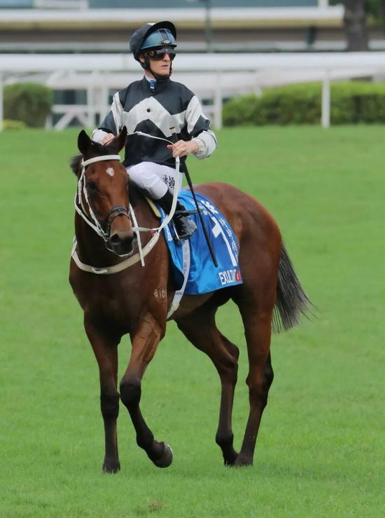 「时时精彩」成功卫冕渣打冠军暨遮打杯