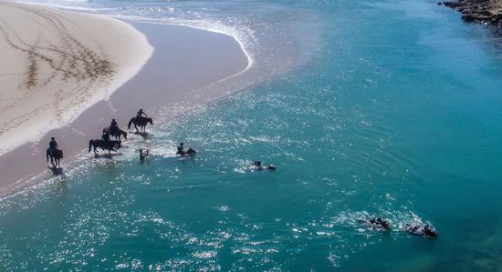 350公里“狂野海岸”耐力赛，全新模式挑战极限