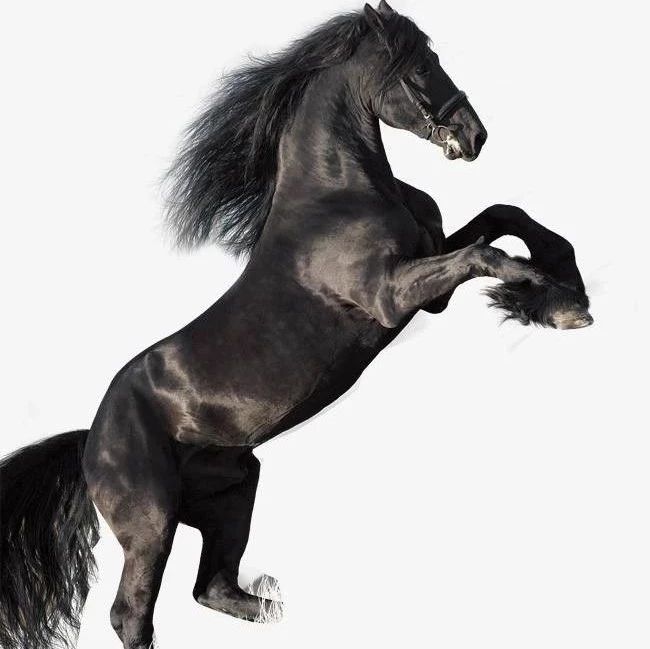 (¨阿巴嘎旗)发展演绎的〈黑马〉"辩证法"