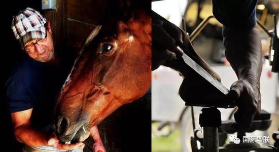 anvers Child与他的爱马