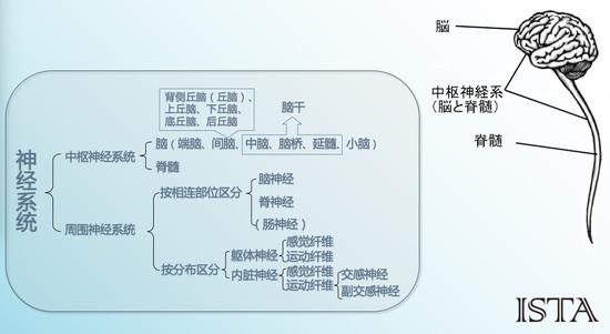ISTA体态修复专家课程走进大众健身