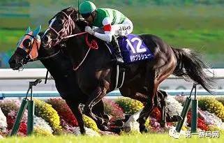 2019年度日本马王诞生