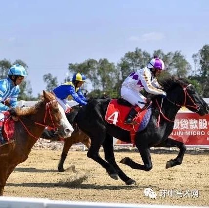 海南赛马再破局？国内仅两家上市公司布局，暂无实质进展