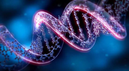 基因检测到底是如何应用在赛马与育马之上？