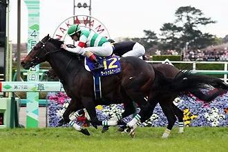 2019年度日本马王诞生
