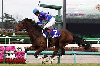 2019年度日本马王诞生