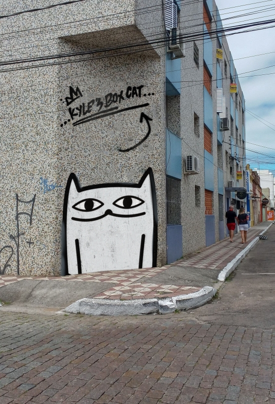 美国街头涂鸦艺术家凯尔哈里创办了盒子猫品牌