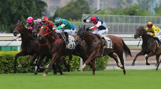 ‘友好日子’（綠色綵衣）