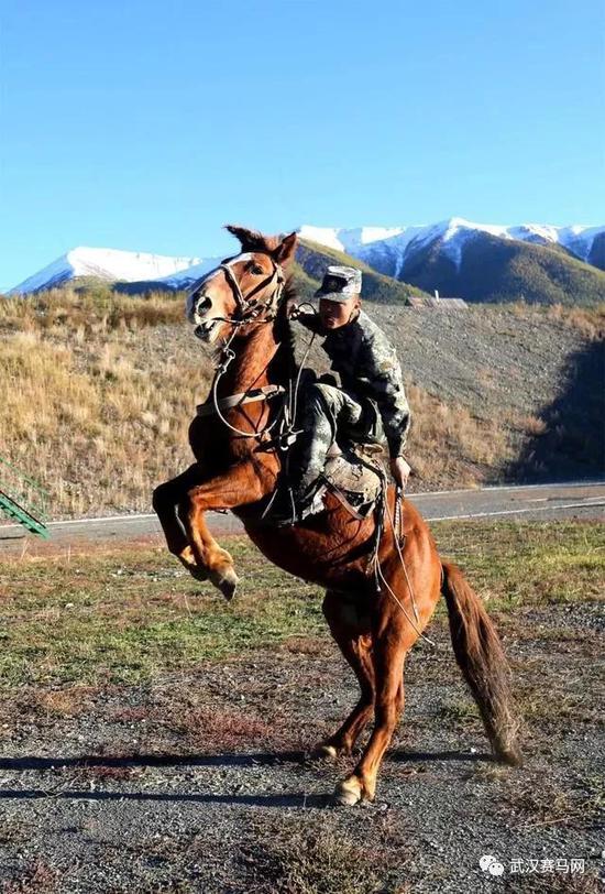 "我和军马有个约定"_马术_新浪竞技风暴_新浪网
