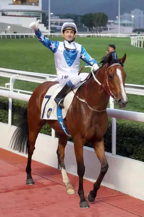 韦达曾13次荣膺香港冠军骑师。