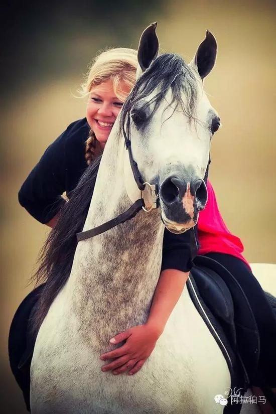 战火中永生——波兰系阿拉伯马的故事