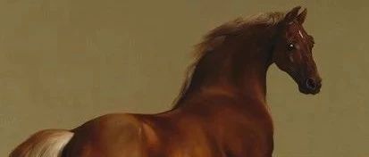 马的绘画史