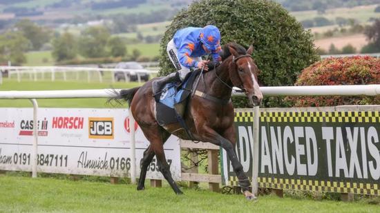 See Double You （图片来源转载自Racingpost.com）