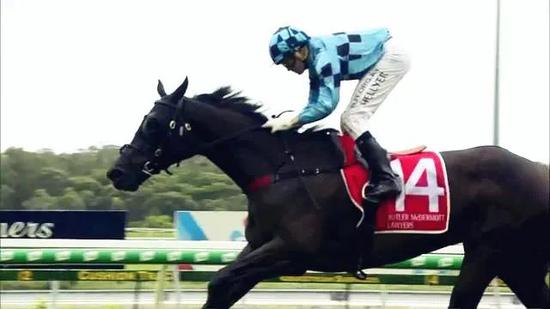 外道超车惊艳夺冠！牛福东岳文磊雅士牧场合作