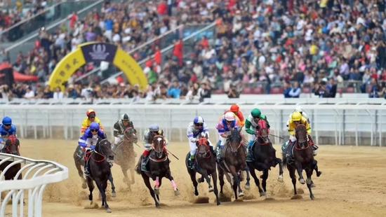 武汉市政协常委胡越高：让赛马场成为“城市会