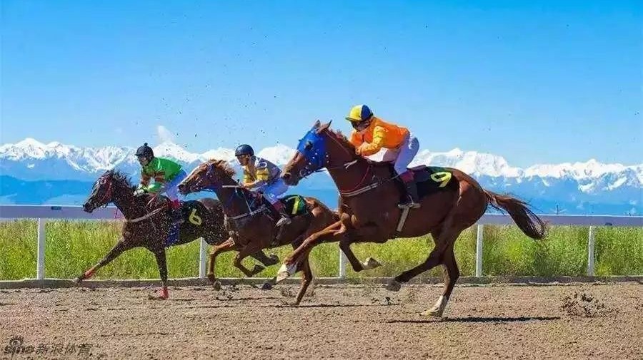 中国速度赛马经典赛科右中旗站