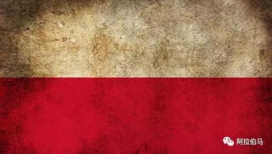 战火中永生——波兰系阿拉伯马的故事