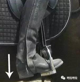 初学骑马，先要会坐