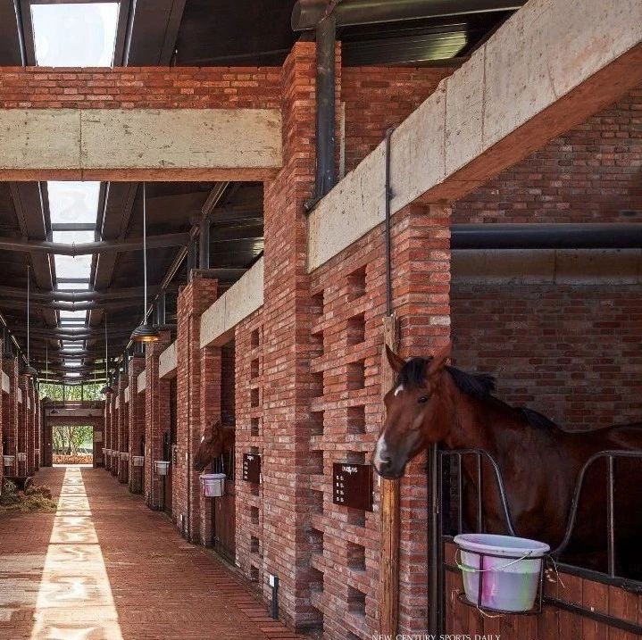 冬天的马房这些你做到了吗