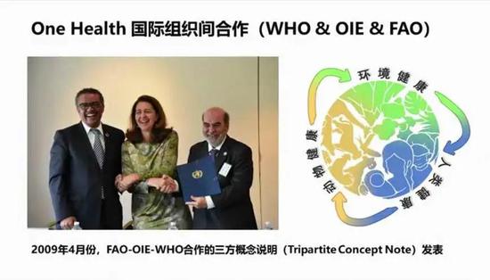 中国工程院院士、中国农业大学教授沈建忠：重