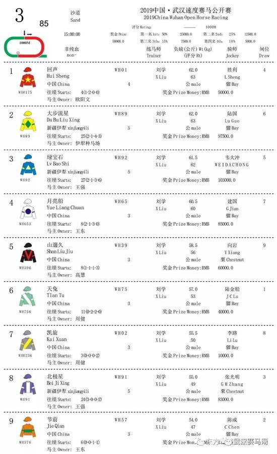 2019中国·武汉速度赛马公开赛11月30日赛事排位表