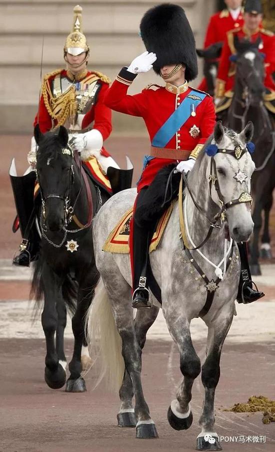 90多岁的骑马爱好者,英国女王检阅皇家骑兵卫队_马术_新浪竞技风暴