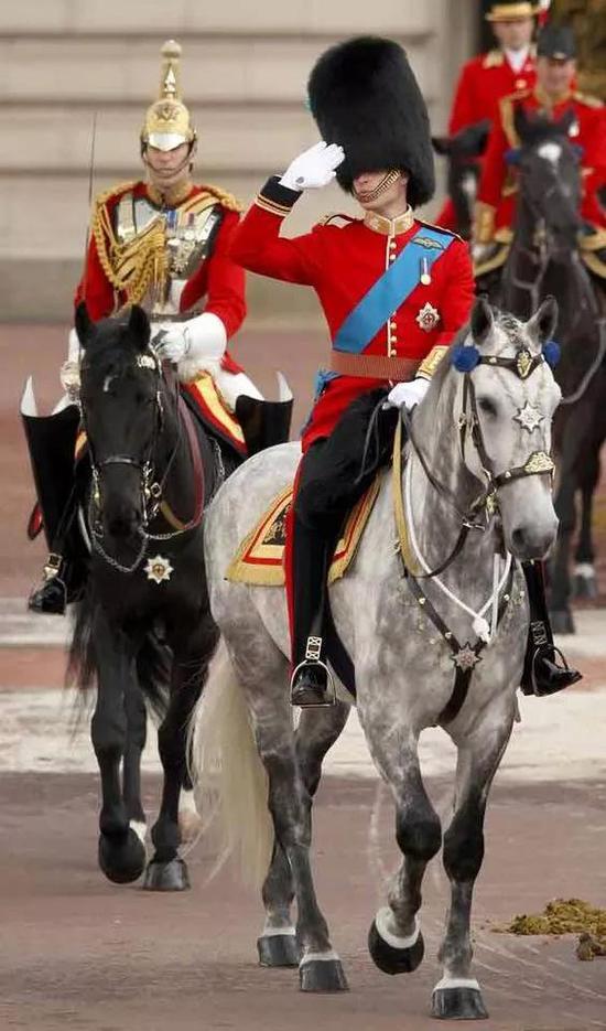 庄严的皇家骑兵