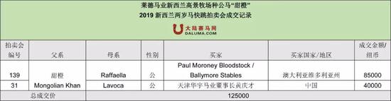 莱德种公马“蒙古可汗”17匹2岁子嗣新西兰卖出