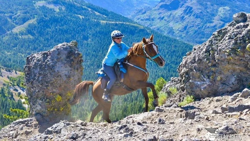 “特斯维杯”途中最艰险的路段“美洲狮岩（Cougar Rock）”