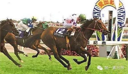 【优骏】它是首匹扬威海外大赛的香港马