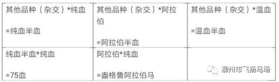 血统分类