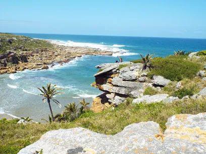 350公里“狂野海岸”耐力赛，全新模式挑战极限