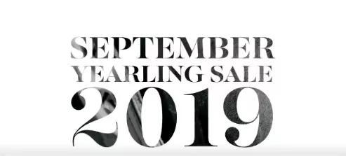 美国基恩兰9月周岁马拍卖会